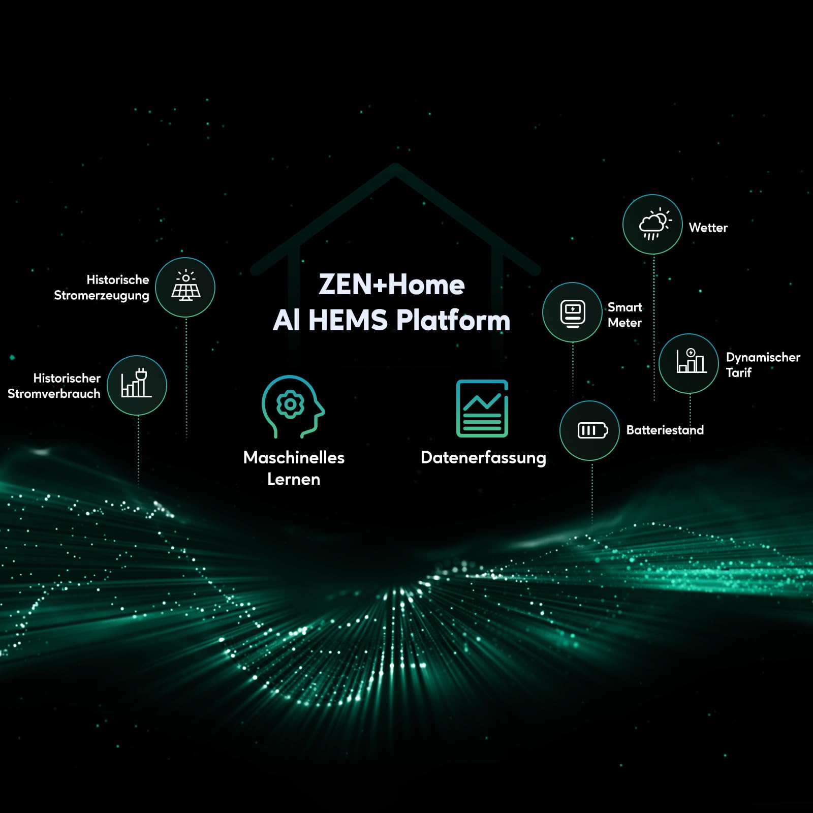 SolarFlow 800 Plus+ 2x500W Bifaziale