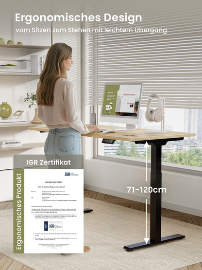 Ergofino DT20L Höhenverstellbares Schreibtischgestell